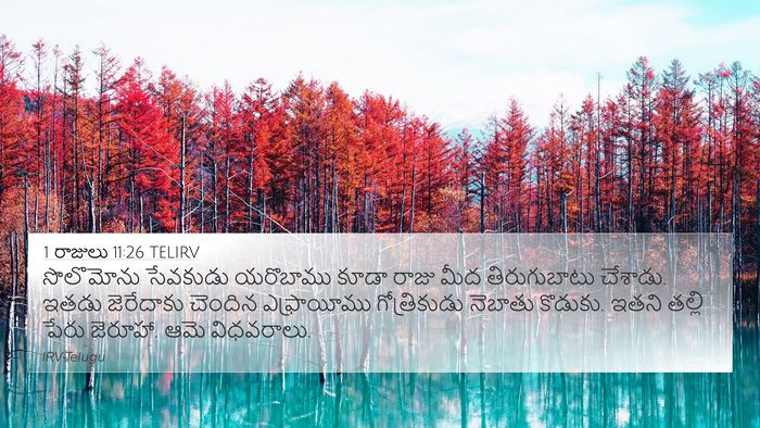 1 రాజులు 11:26 TELIRV Bible Verse Image