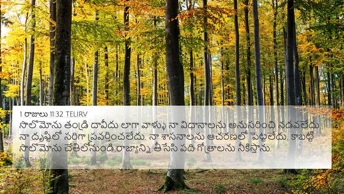 1 రాజులు 11:32 TELIRV Bible Verse Image