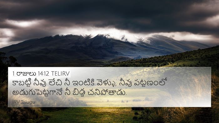 1 రాజులు 14:12 TELIRV Bible Verse Image