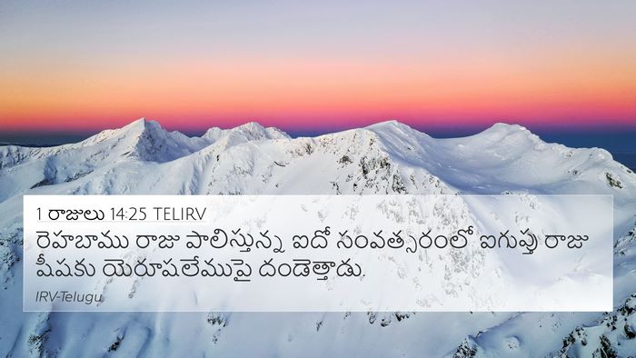 1 రాజులు 14:25 TELIRV Bible Verse Image