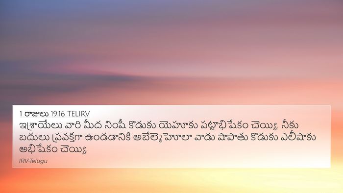 1 రాజులు 19:16 TELIRV Bible Verse Image