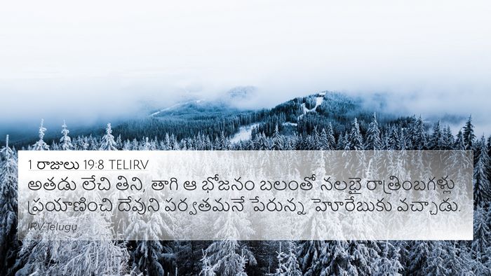 1 రాజులు 19:8 TELIRV Bible Verse Image