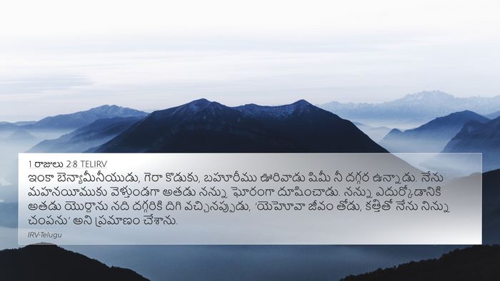1 రాజులు 2:8 TELIRV Bible Verse Image