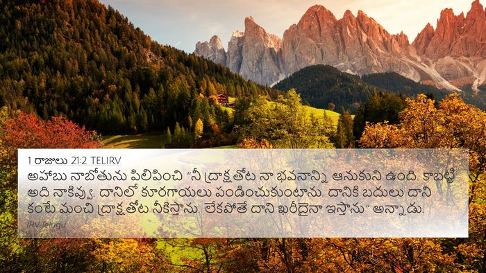 1 రాజులు 21:2 TELIRV Bible Verse Image