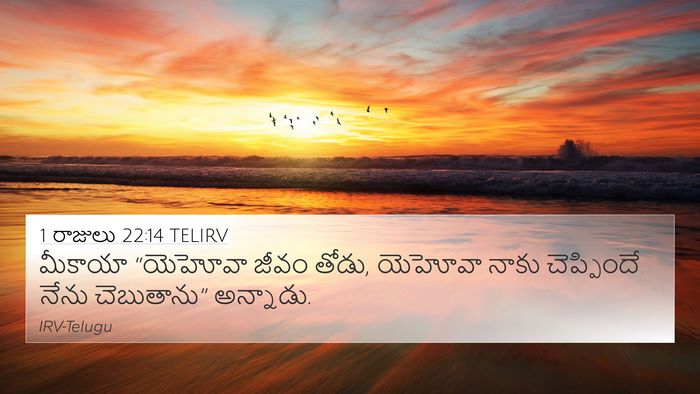 1 రాజులు 22:14 TELIRV Bible Verse Image