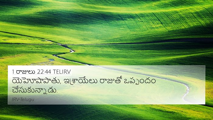 1 రాజులు 22:44 TELIRV Bible Verse Image