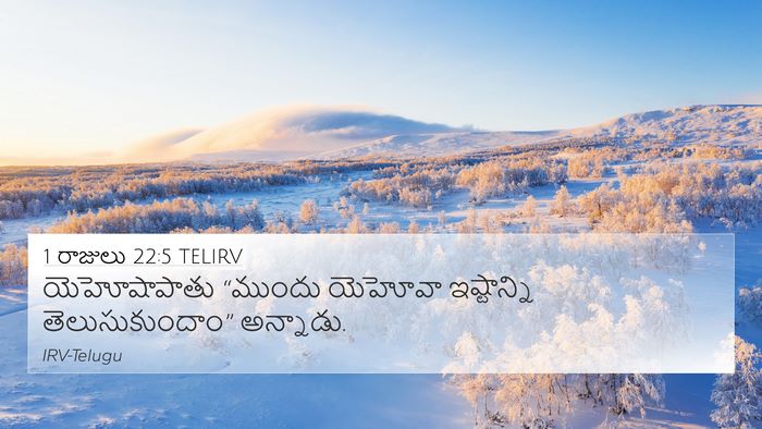 1 రాజులు 22:5 TELIRV 4K Wallpaper - యెహోషాపాతు “ముందు - 4K Wallpaper Bible Verse