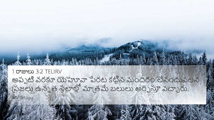 1 రాజులు 3:2 TELIRV Bible Verse Image