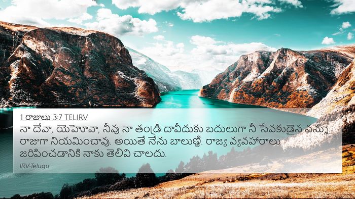 1 రాజులు 3:7 TELIRV Bible Verse Image