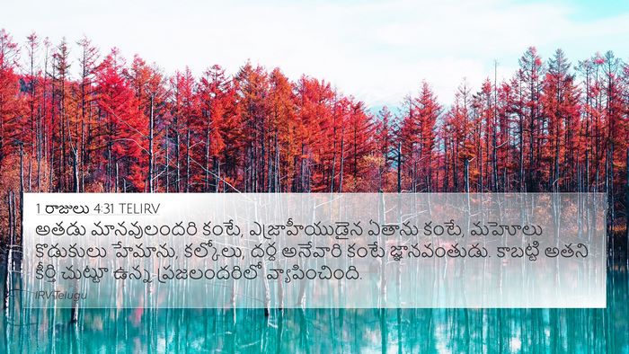 1 రాజులు 4:31 TELIRV Bible Verse Image