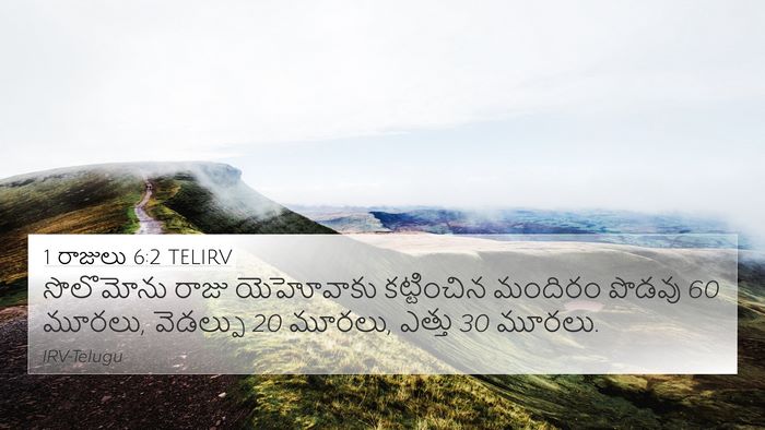 1 రాజులు 6:2 TELIRV Bible Verse Image
