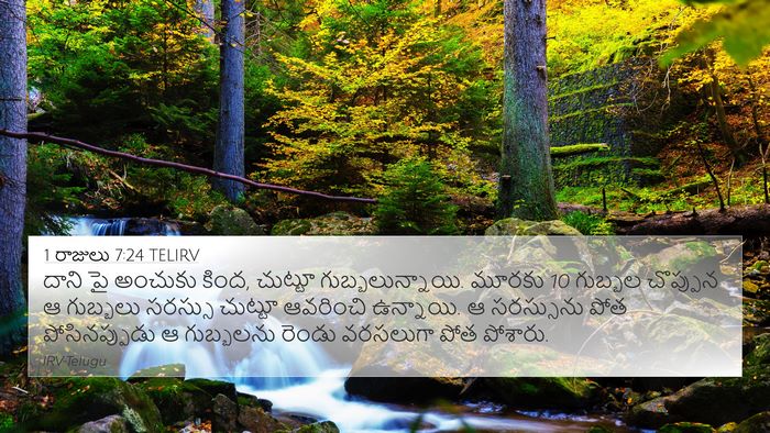 1 రాజులు 7:24 TELIRV Bible Verse Image