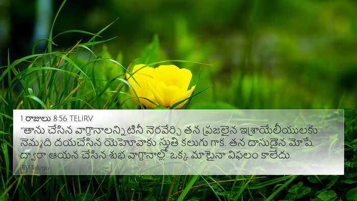 1 రాజులు 8:56 TELIRV Bible Verse Image