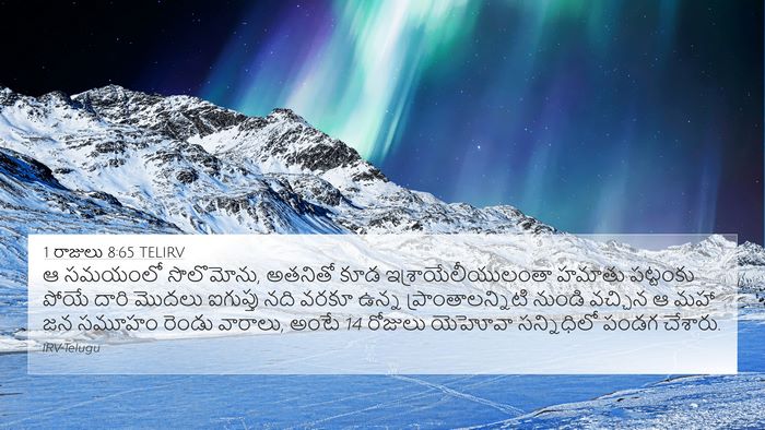 1 రాజులు 8:65 TELIRV Bible Verse Image