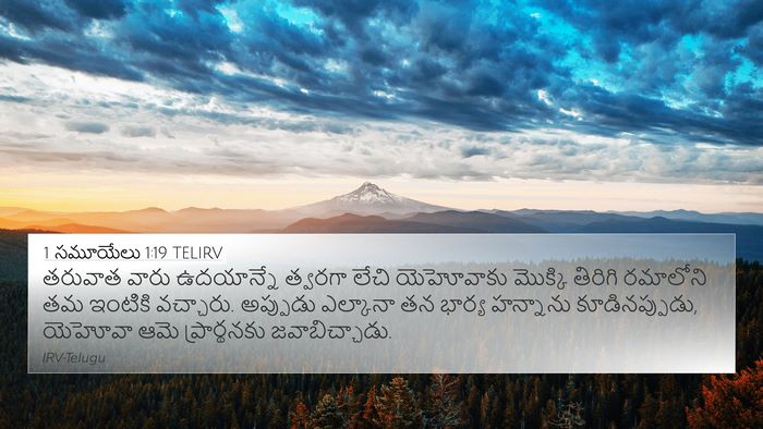 1 సమూయేలు 1:19 TELIRV Bible Verse Image