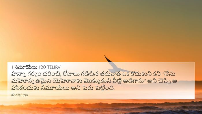 1 సమూయేలు 1:20 TELIRV Bible Verse Image