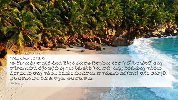1 సమూయేలు 10:2 TELIRV Bible Verse Image