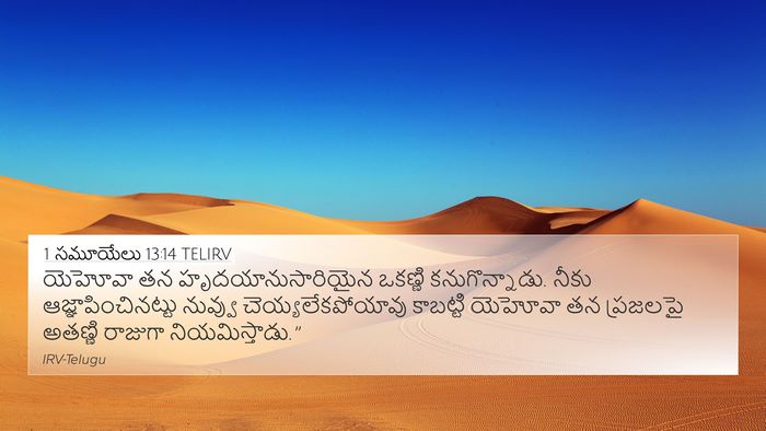 1 సమూయేలు 13:14 TELIRV Bible Verse Image