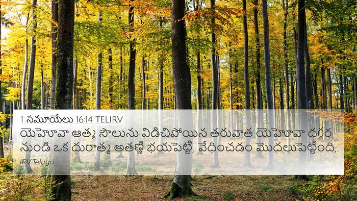 1 సమూయేలు 16:14 TELIRV Bible Verse Image