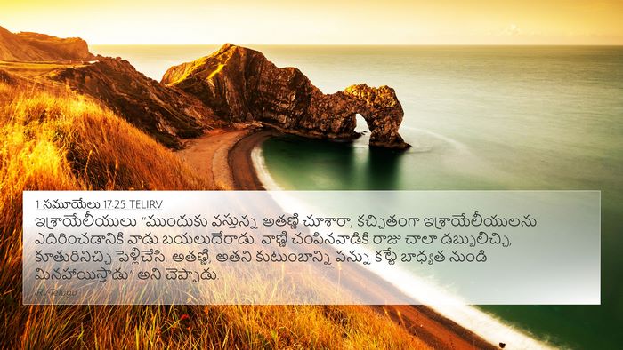 1 సమూయేలు 17:25 TELIRV Bible Verse Image