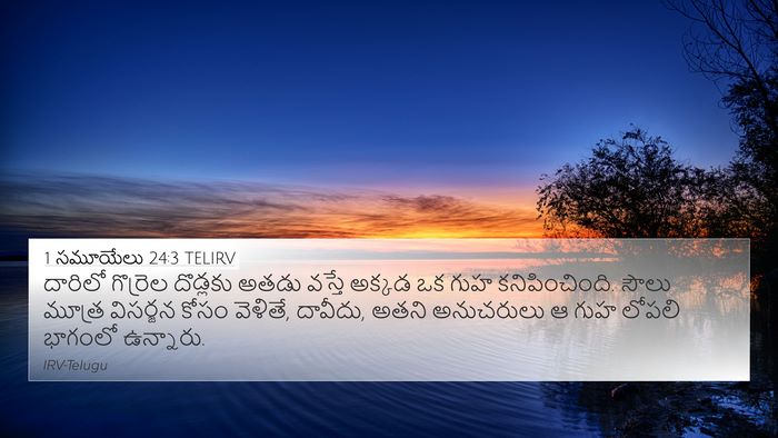 1 సమూయేలు 24:3 TELIRV Bible Verse Image