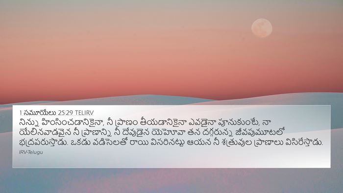 1 సమూయేలు 25:29 TELIRV Bible Verse Image