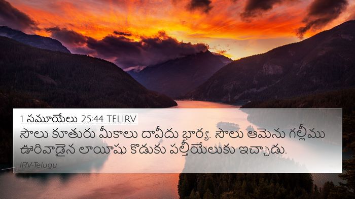1 సమూయేలు 25:44 TELIRV Bible Verse Image