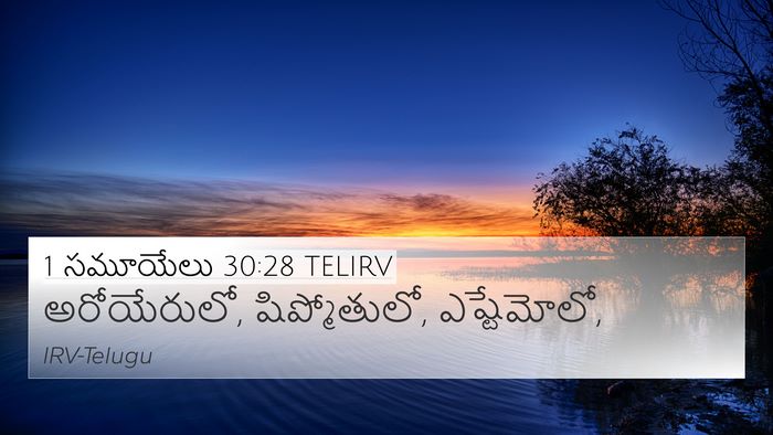 1 సమూయేలు 30:28 TELIRV Bible Verse Image
