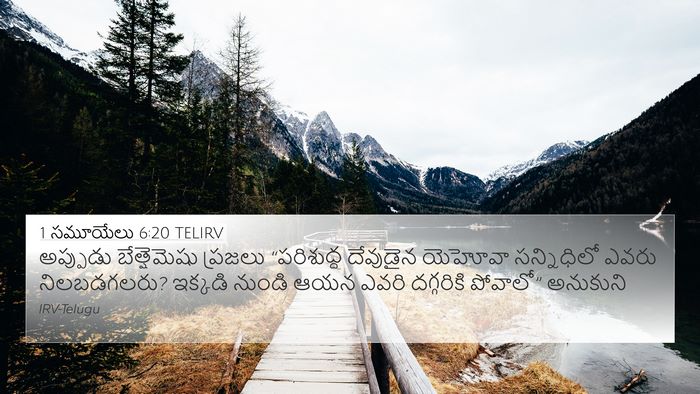 1 సమూయేలు 6:20 TELIRV Bible Verse Image