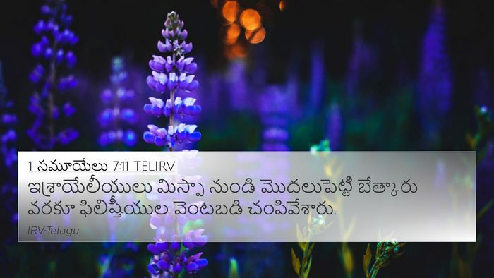 1 సమూయేలు 7:11 TELIRV 4K Wallpaper - ఇశ్రాయేలీయులు - 4K Wallpaper Bible Verse