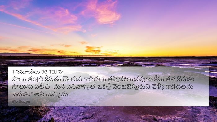 1 సమూయేలు 9:3 TELIRV Bible Verse Image