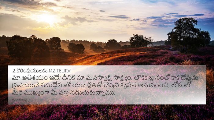 2 కొరింథీయులకు 1:12 TELIRV Bible Verse Image