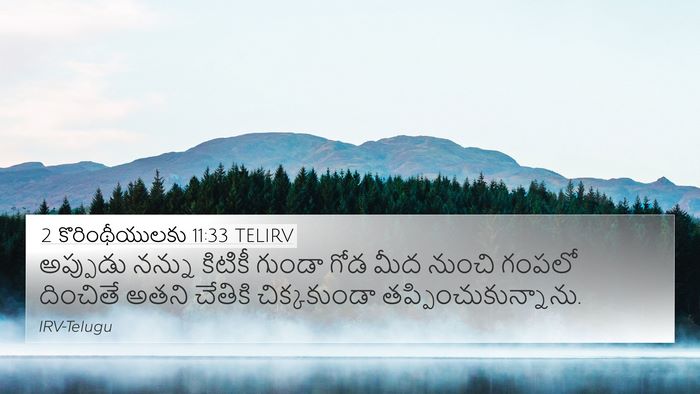 2 కొరింథీయులకు 11:33 TELIRV Bible Verse Image