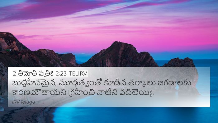 2 తిమోతి పత్రిక 2:23 TELIRV Bible Verse Image
