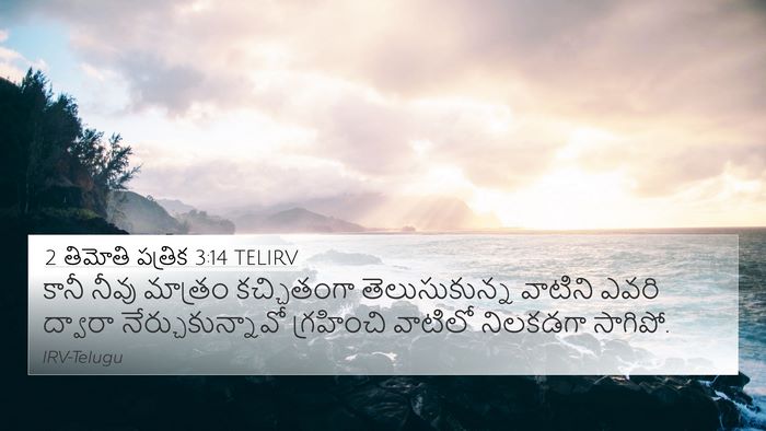 2 తిమోతి పత్రిక 3:14 TELIRV Bible Verse Image