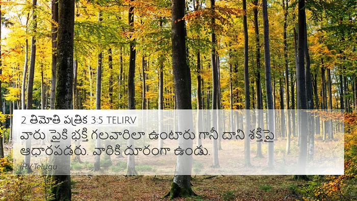 2 తిమోతి పత్రిక 3:5 TELIRV Bible Verse Image