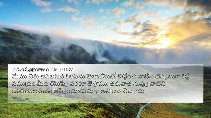 2 దినవృత్తాంతాలు 2:16 TELIRV Bible Verse Image