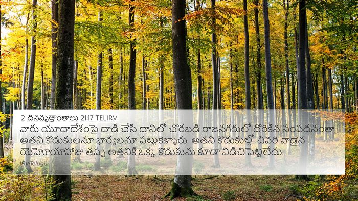 2 దినవృత్తాంతాలు 21:17 TELIRV Bible Verse Image