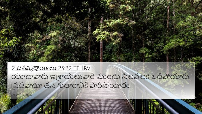 2 దినవృత్తాంతాలు 25:22 TELIRV Bible Verse Image