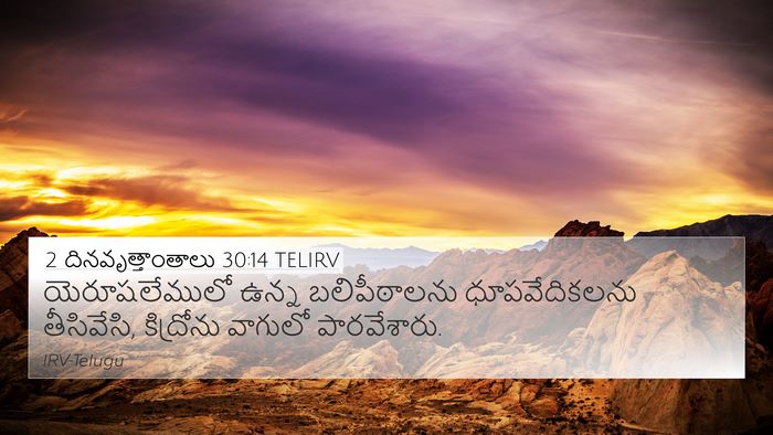 2 దినవృత్తాంతాలు 30:14 TELIRV Bible Verse Image