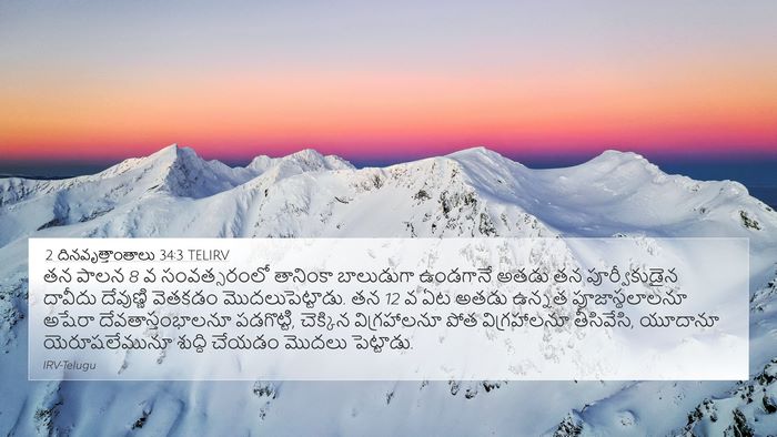 2 దినవృత్తాంతాలు 34:3 TELIRV Bible Verse Image