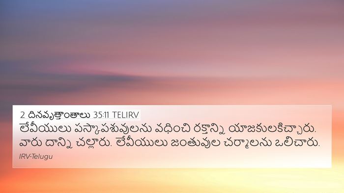 2 దినవృత్తాంతాలు 35:11 TELIRV Bible Verse Image