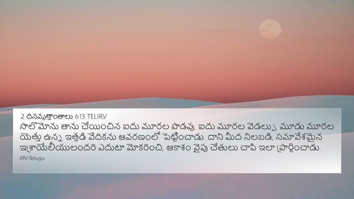 2 దినవృత్తాంతాలు 6:13 TELIRV Bible Verse Image