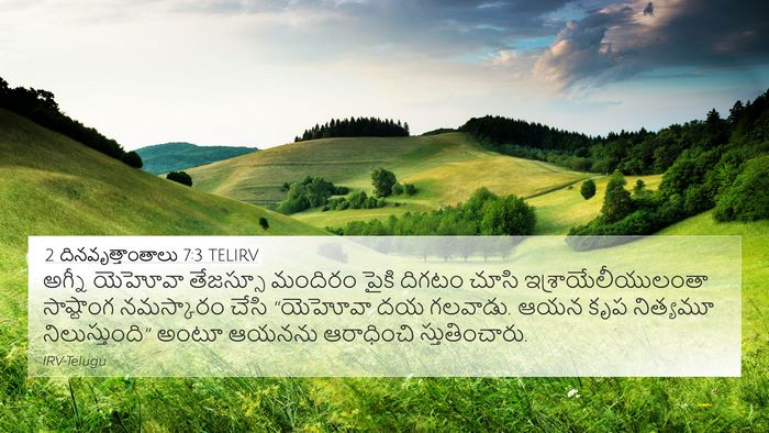 2 దినవృత్తాంతాలు 7:3 TELIRV Bible Verse Image
