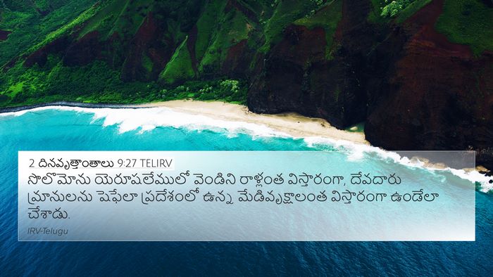 2 దినవృత్తాంతాలు 9:27 TELIRV Bible Verse Image