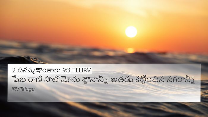 2 దినవృత్తాంతాలు 9:3 TELIRV Bible Verse Image