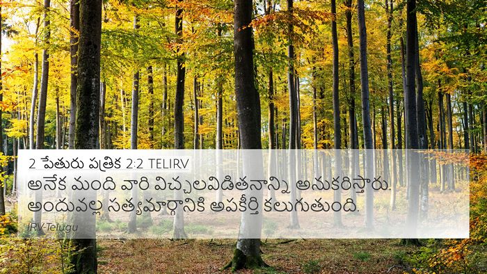 2 పేతురు పత్రిక 2:2 TELIRV Bible Verse Image