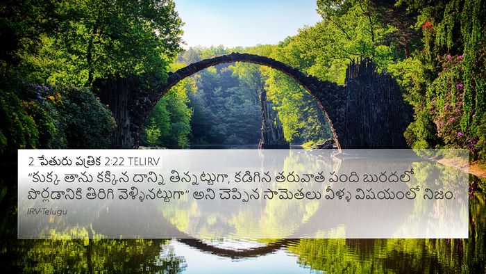 2 పేతురు పత్రిక 2:22 TELIRV Bible Verse Image