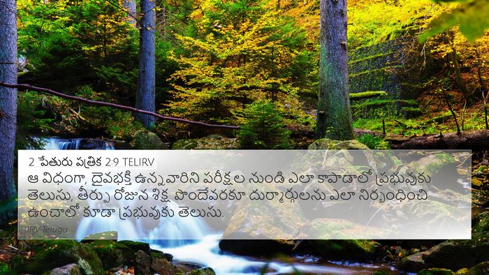 2 పేతురు పత్రిక 2:9 TELIRV Bible Verse Image