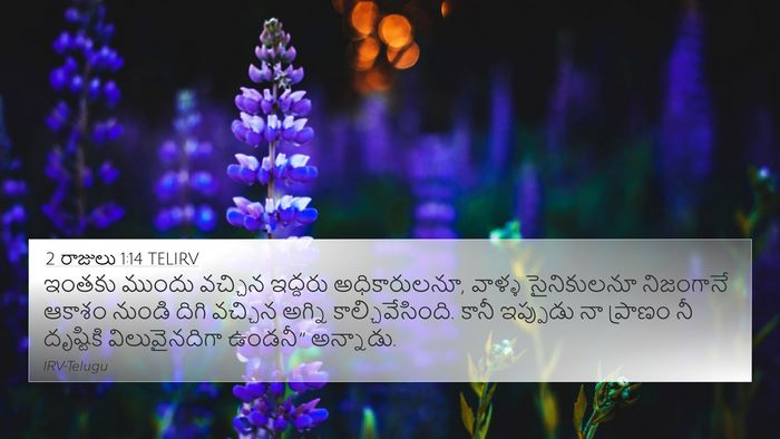 2 రాజులు 1:14 TELIRV 4K Wallpaper - ఇంతకు ముందు - 4K Wallpaper Bible Verse